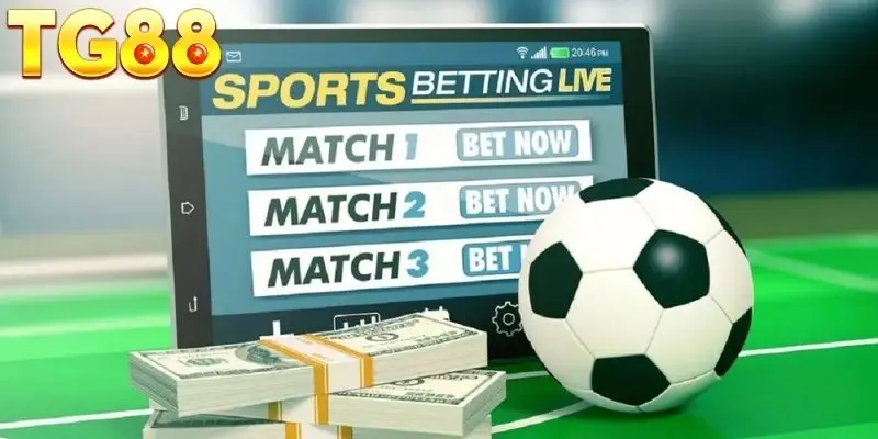 Bí quyết cực hay khi chơi kèo Châu Âu