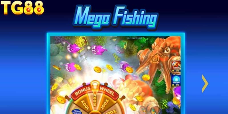 Chiến Lược Săn Cá Hiệu Quả