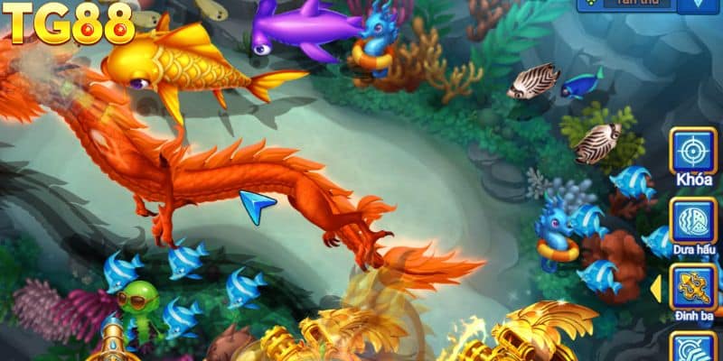 Chơi có giới hạn, kiểm soát thời gian và ngân sách.