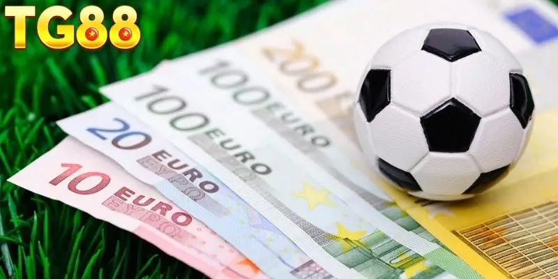 Điều cần phải để ý khi tham gia