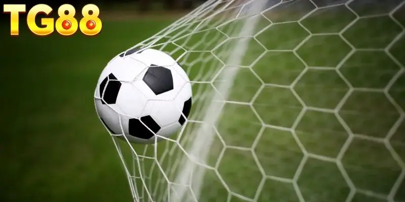 Nên theo dõi mọi tỷ lệ chuẩn